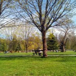 parc colombière dijon – bergamote  family (10)