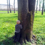 parc colombière dijon – bergamote  family (3)