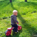 parc colombière dijon – bergamote  family (4)