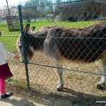 parc colombière dijon – bergamote  family (5)
