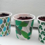 jardinage herbes – bergamot family