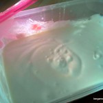 petit suisse bergamote family (3)