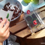 semis jardinage – bergamote family (14)