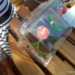 semis jardinage – bergamote family (15)