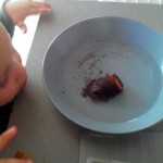 semis jardinage – bergamote family (3)