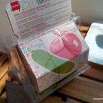 semis jardinage – bergamote family (9)