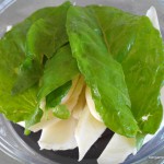 purée fenouil oseille – bergamote family (2)