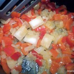 Chaussons canard, la belle chaurienne –  bergamote family (4)