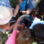 happy kits princesse – bergamote family (14)