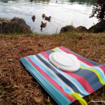 lingette huggies style on the go – bergamote family