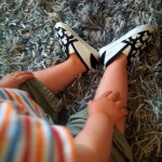 les petites terreurs – bergamote family a