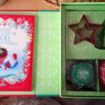 pâtisserie noel – usborne – bergamote family (2)