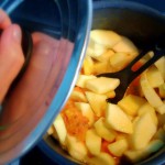 compote aux figues de barbarie – bergamote family (2)