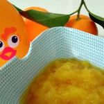 compote aux figues de barbarie – bergamote family (3)