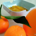 compote aux figues de barbarie – bergamote family (5)