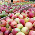 frais d ici – bergamote family