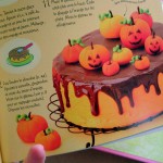 coffret usborne décors de gâteaux – bergamote family (3)