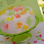 coffret usborne décors de gâteaux – bergamote family (4)