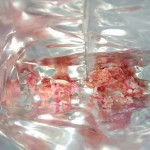 good goût – bergamote family (5)