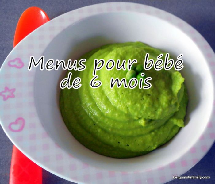 Exemples De Menus Pour Bebe De 6 Mois Bergamote Family