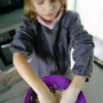 poisson d’avril – bergamote family (1)