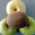 compote pomme nashi kiwi (3)