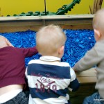 lego duplo toison d’or – bergamote family (2)