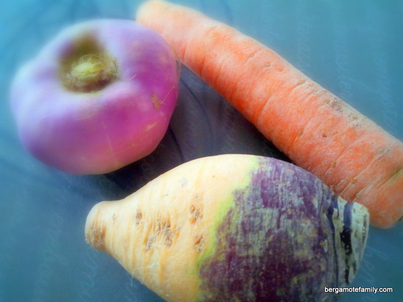 Petite Puree De Rave Violette Rutabaga Et Carotte Pour Bebe Bergamote Family Petite Puree De Rave Violette Rutabaga Et Carotte Pour Bebe Bergamote Family