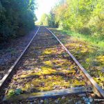 vélorail de la vingeanne – bergamote family (3)