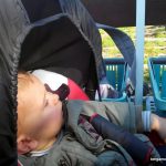 vélorail de la vingeanne – bergamote family (4)