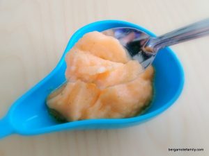 sorbet melon menthe companion - bergamote family (2)