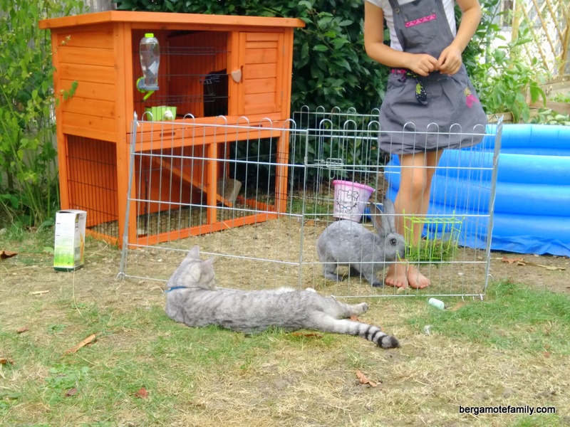 lapin-biscotte-et-enfants-bergamote-family-3