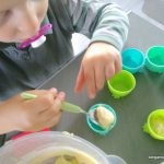 haba-family-food-stars-bergamote-family-8