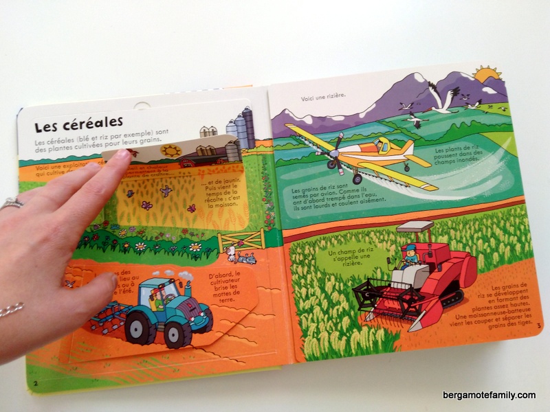 livres-aliments-enfants-bebe-bergamote-family-2