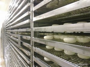 mini-babybel-rouge-evron-bergamote-family-8