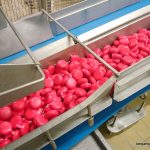 mini-babybel-rouge-evron-bergamote-family-9