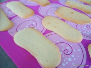 langues-de-chat-pour-bebe-enfants-bergamote-family-1
