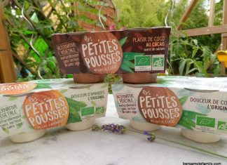 Tout sur les desserts végétaux Les Petites Pousses