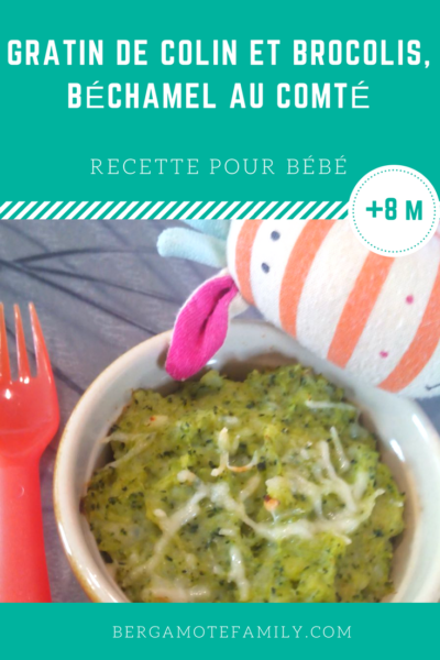 Gratin De Colin Et Brocoli A La Bechamel Au Comte Des 8 Mois Bergamote Family