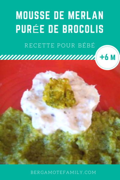Mousse De Merlan Au Basilic Et Sa Puree Au Brocoli Des 6 Mois