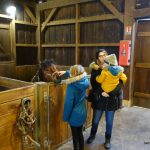 center parcs trois forets – bergamote family (2)