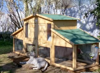 Accueillir les animaux du jardin