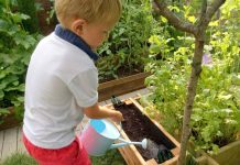 Le potager d’Aucy bio dans mon jardin et nos assiettes (concours)