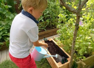 Le potager d’Aucy bio dans mon jardin et nos assiettes (concours)