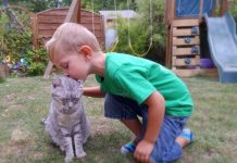 Quand traiter mon chat protège mes enfants