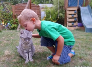 Quand traiter mon chat protège mes enfants