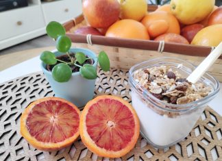 Mes agrumes, du verger à l’assiette !