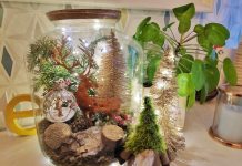 Réaliser un Noëlarium soi-même