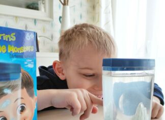 Observer les Artemia salina avec Buki