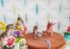 Anniversaire dinosaure pour ses 6 ans